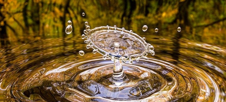 The Best Tips for Shooting the Most Creative High Speed Photographs